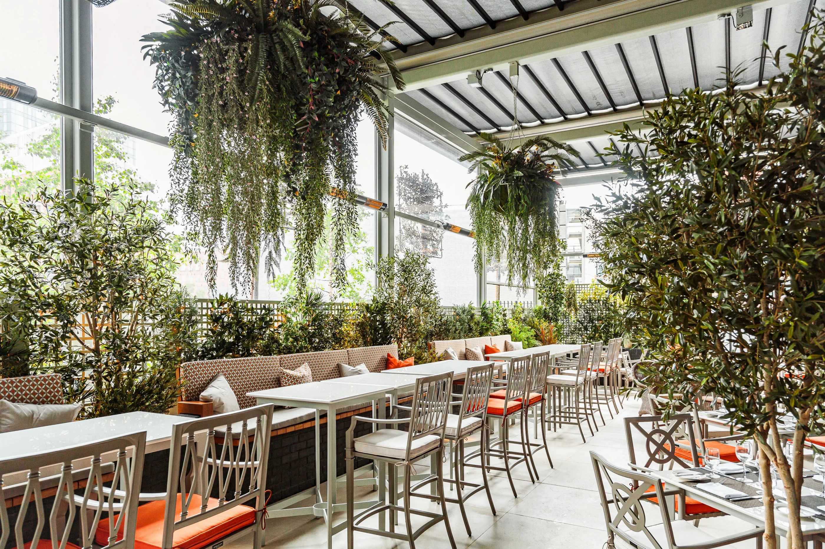 The Terrace